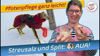 Mit dem Hund durch den Winter: Pfötchenpflege mit Hausmitteln schnell und einfach selber gemacht!