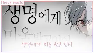 [코이튜브 1시간 뮤직] 생명에게 미움받고 있어 - 이경태 성우