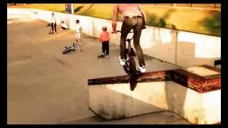Tom Swan - An evening at Prissick