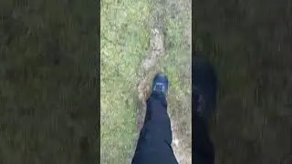 Walk in Devon