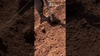 Preparation of sunken nursery bed #shorts #short #holidayswithshorts #youtubemadeforyou #trending