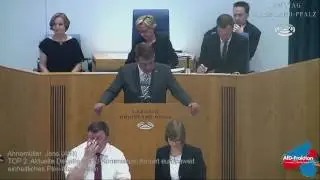Jens Ahnem&uuml;ller (AfD) zur Maut-Debatte: Freie Fahrt f&uuml;r freie B&uuml;rger!