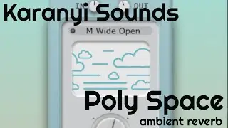 Poly Space Reverb by Karanyi Sounds (No Talking)