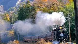 爆煙！SLパレオエクスプレスと武甲山の紅葉