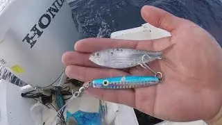 Tuna Fishing with Diamond Jigs, Jetty Fishing San Jos&eacute; del Cabo Part 3