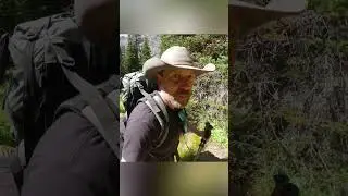 Empty Backcountry Campground in Glacier?! | Solo Camping Adventure #camping #survival #bushcraft