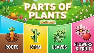 Parts of a plant|🌵|🌺🌳| Functions of parts|Micro Minds Club 