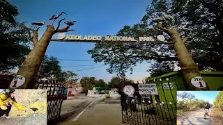 🌿🦜Bharatpur Bird Sanctuary Explore 🚴&zwj;♂️ | Rare Birds & Animals | Travel Vlog #minivlog #vsbhaijii 