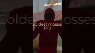 The best mosses of all time are really touchable