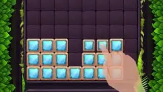 Block puzzle guardian 2020