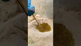 making wanda