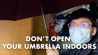Don&rsquo;t Open Your Umbrella Indoors | Lucky Break