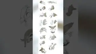 How to make animals shadow by hand. #subscribe #mythpat #fyp #views #shadow #shadowart
