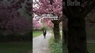 Just the best season in Berlin 🌸😍 #berlinvlog #berlintravelguide #germanytourism #exploreberlin
