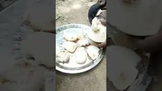 Ice Apple Fruit/Palm Fruit/Indian Street food#iceapple #shorts