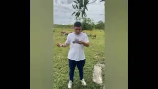 Razas productivas para nuestro tr&oacute;pico.