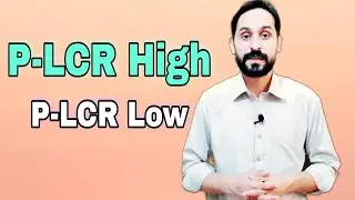 P-LCR Blood Test | Platelet Large Cell Ratio Test | High P-LCR Causes | Low P-LCR Means