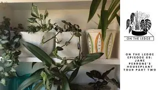 On The Ledge Podcast Episode 69: Jane Perrone's houseplant tour part two
