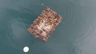 King Harbor