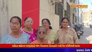 વડોદરા શહેરના અમદાવાદી પોળ વિસ્તારમાં દિનદહાડે બની ચેન સ્નેચિંગની ઘટના