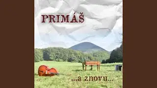 V kalinovym leše