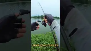THE world's smallest fishing lure🐟&mdash;&mdash;Amazon BS#1🏆 Truscend swimmax