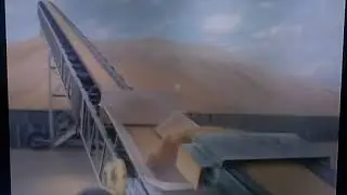 Earthworm 40 x 30 Unloader And 36 x 120 Grain Conveyor
