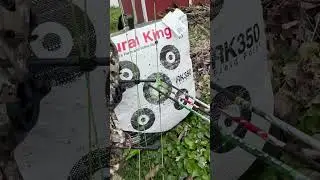 My Bear Paradox Hc #shortvideo #viral #youtubeshorts #archery #bowhunting #shorts like  subscribe