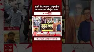 Thackeray brothers NCP Seat Sharing :ठाकरे बंधू-पवारांच्या राष्ट्रवादीचा जागावाटपाचा फॉर्म्युला ठरला