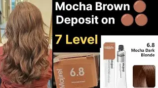 Mocha brown 6.8 🟤 haircolor tutorial / Step by step for beginners in Hindi #haircutexpert Shyama's M