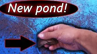 MY NEW DIY INFLATABLE POOL POND! STOCKING IT WITH............?