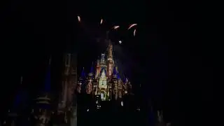 Tinkerbell&rsquo;s flight during Happily Ever After fireworks #disney #tinkerbell #shorts #youtubeshorts