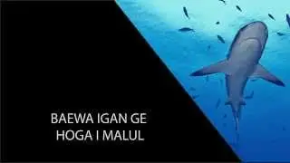 Misima Shark Fin Video Papua New Guinea Intro