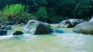 Flowing River Nature Sounds for Evening Relaxation and Rest