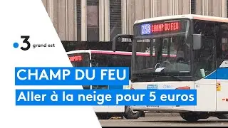 Pour aller skier au Champ du Feu, une navette propose des trajets à 5 euros depuis Strasbourg