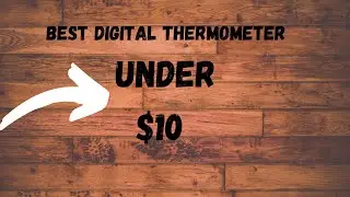 Cheap $10  Digital thermometer review! Amazon's Choice and ours too!