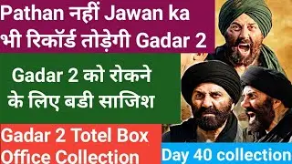 Gadar 2 Day 40 box office collection Gadar 2 Box office collection, Gadar 2 collection