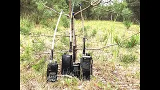 5mW битва тяжеловесов, CB vs Low Band :-)
