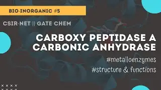 Carboxy peptidase A | carbonic anhydrase | bioinorganic ~Chemicos academy