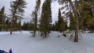 Glade Snowboarding With My Posse in Beaver Creek at McCoy Park | Raw Footage