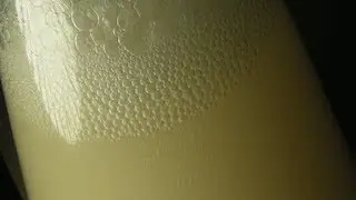 Die Herstellung von Ethanol (Making ethanol)