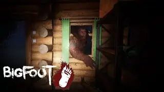 Bigfoot Lead Us on a Wild Goose Chase