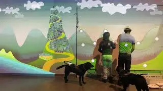 YIPP Showreel 2023
