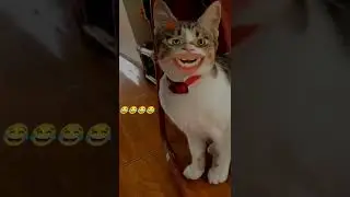 Billy filter comedy video bagad Billa