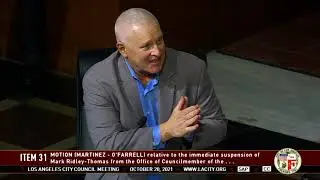Comments on Motion to Suspend Mark Ridley-Thomas from Office