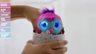 Trading Standards warn of scams and fakes as parents scramble for 'Hatchimals'