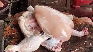 Chicken Cutting Muslim Style By Young Butcher