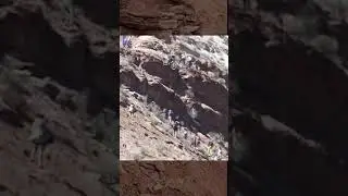 Super T Massive Rampage Drop 2002