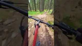 Rogla Bike Park - Trail 9 - Rockgardens!