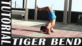 TUTORIAL DE TIGER BEND - Cómo hacer el Tiger Bend - Técnica, Ejercicios, Rutina...